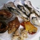 광어생각 이미지