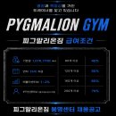 피그말리온짐 봉명센터 Daum카페