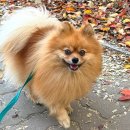 서서울호수동물병원 이미지