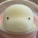 커피애광