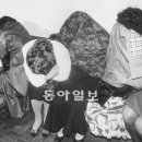 댄스교습소 동아일보