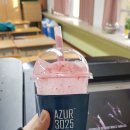아주르3025