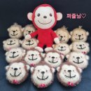 베이비몽 이미지