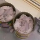 (주)동원에프앤비창원공장 이미지