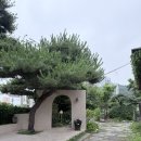 카페451 | 기장카페 프레스트 내돈내산 후기, 숲속 정원 뷰와 주차 정보 정리