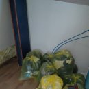 청덕면 | 합천 빈집정리 쓰레기 청소해주는 대행