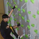 청송군체육관 실내체육관 이미지