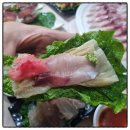 북항선착장 이미지