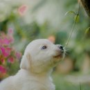 계양SKY동물메디컬센터 이미지