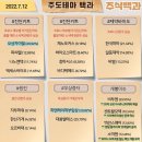 2022년 7월 12일 상한가 및 급등주, 시간외 특징주, 내일 시가단타 예상 이미지