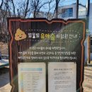 별내 유아숲체험원 이미지