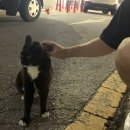 경기도 수원시 장안구 파장로21번길 이미지