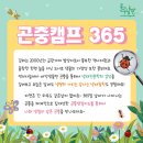 곤충연구소 실내 이미지