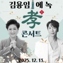 트로트 효 콘서트 동행미디어 시대