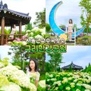 충무수산동물병원 | 구리한강시민공원 서울근교 수국명소 6월 여행지 추천