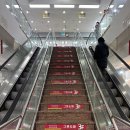 전통중앙도매 | 인터넷보다 저렴한 시라쿠스, 빌레로이앤보흐 남대문 그릇도매 현대기물&amp;박그릇 구매 솔직 후기