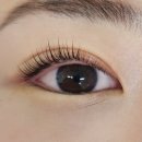 씨유당리하늘점 | [당리속눈썹] 부산 당리 속눈썹펌 아이멜로즈 이용후기(+한달반 후 사진)