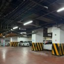 서킷스토리 아카데미 PSR 신내 이미지