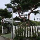 군수뜰