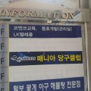 더 존 대대전용 당구장 네이버블로그