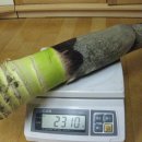 봉곡동011 이미지