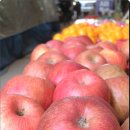 빨간장터 이미지