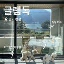 글램독청평 | [글램독/청평] 뷰가 돌아버린 글램독 애견펜션 청평점 1탄