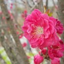 꿈누리유치원 이미지