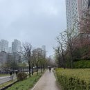 효창공원앞역 경의선숲길 입구 | [스너그 용산점] 효창공원앞역 카페 경의선 숲길 용문동 데이트하기 좋은 카페