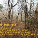 진도문화원 이미지