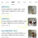 이든프룻 네이버블로그