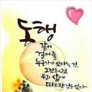 정플라워 이미지
