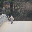 깍까머리 이미지