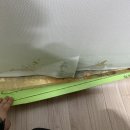 장림국제마마아파트 이미지