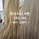 하이그레이