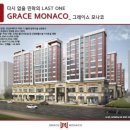 그레이스쇼핑 이미지