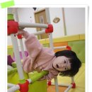 데굴데굴 이미지