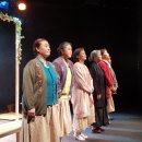 꽃신 구절초 이미지