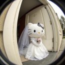 서초대로54길 29-30 | [💍 W08.] 켈리손윤희 촬영 드레스 가봉 후기 (26년 1월) | 지정 혜택 | 가봉 꿀팁, 준비물