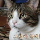 돈통PC방 이미지