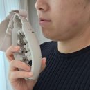 올리뷰티라인 | 올리리라! 약손명가 올리밴드 홈케어 뷰티디바이스 후기