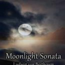 소나타구이 이미지