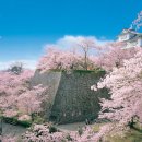 한국해양수산개발원(KMI) 이미지