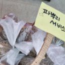 마을청과야채