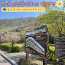 부여(외산)-3 | 4월 가족여행, 부여 외산수리바위 캠핑장 2호 데크 이용 후기