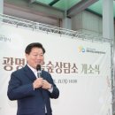 마음숲 이미지