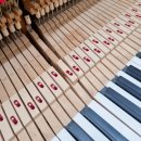 지혜음악학원 이미지