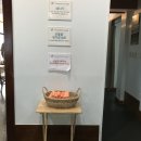 웰리브 한화오션(주)오션플라자식당 | 괌 뚜벅이 모녀여행 Day4/ 새벽비행기-오션뷰라운지추천!, GPO(셔틀버스, 타미, 로스), K마트 쇼핑 후기