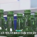 소주ㆍ맥주 가격 또 오른다... 이미지