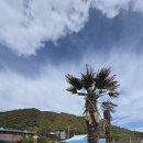 삼대한채 | 포항오션뷰펜션 바다와 별이 기다리는 삼대한채에서의 힐링 여행